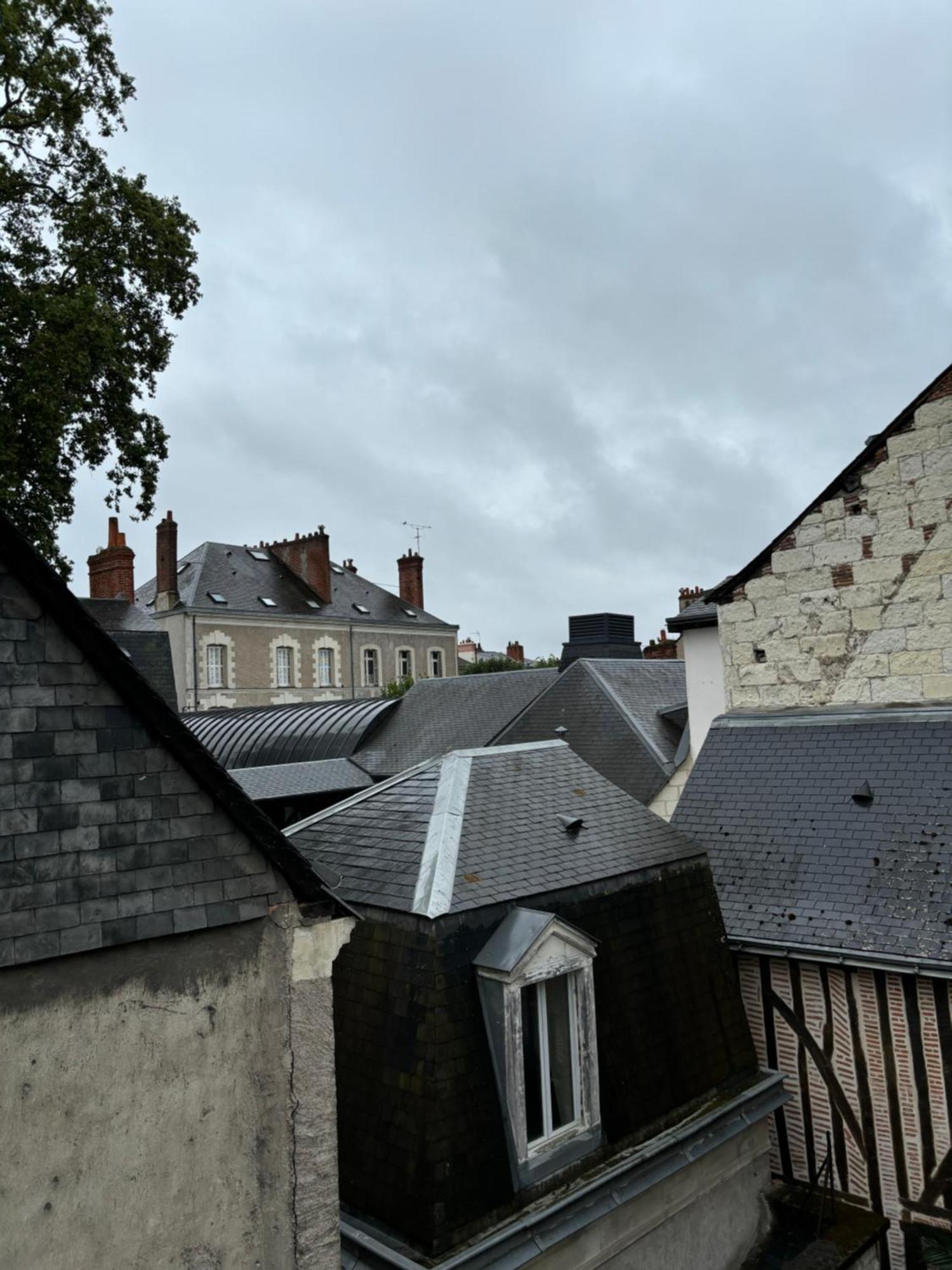 Chez Leo - Rue De La Scellerie Apartment Tours Bagian luar foto